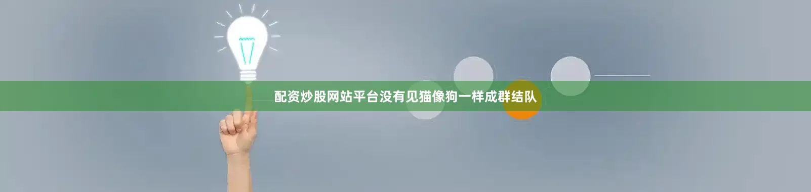 配资炒股网站平台没有见猫像狗一样成群结队