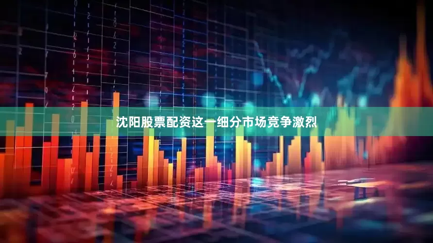沈阳股票配资这一细分市场竞争激烈