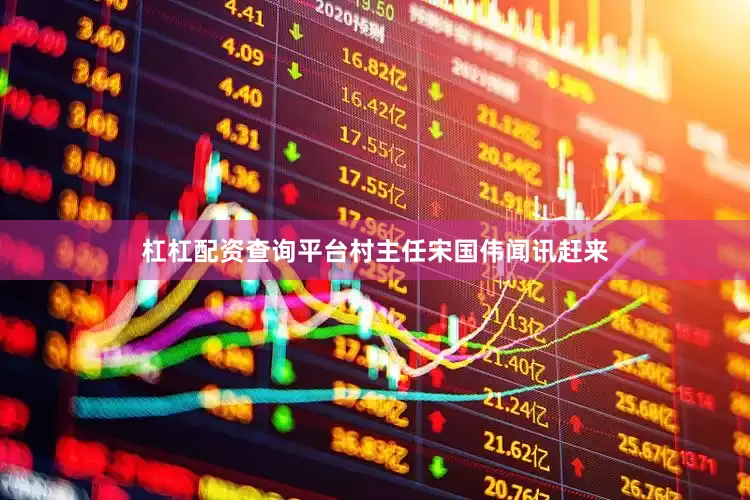 杠杠配资查询平台村主任宋国伟闻讯赶来