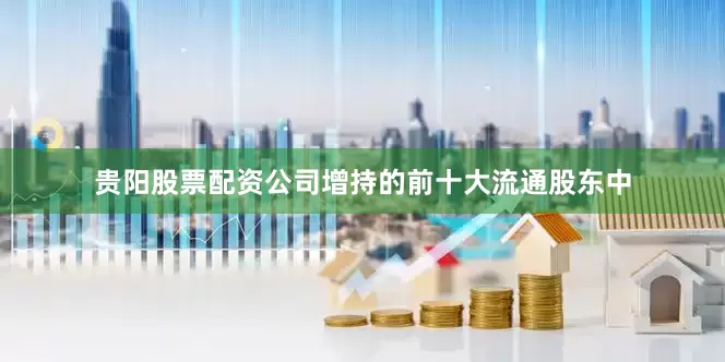 贵阳股票配资公司增持的前十大流通股东中