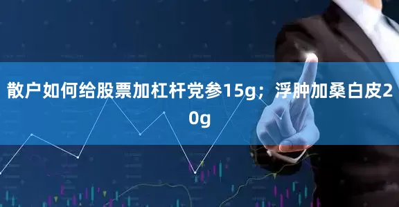 散户如何给股票加杠杆党参15g；浮肿加桑白皮20g